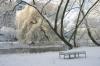 Winter am Weiher